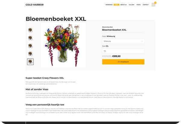 Maak je eigen mooie webshop